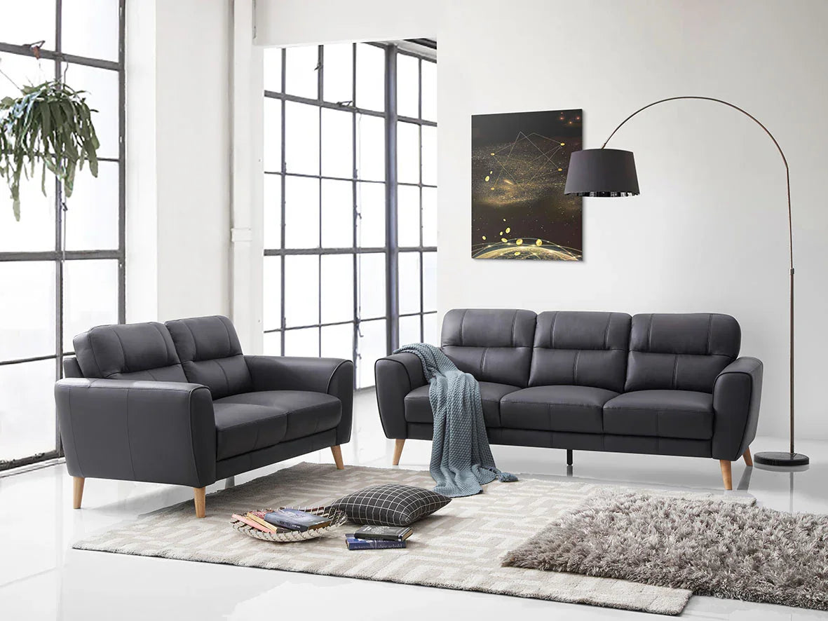 Modern black leather sofa set in bright living room with large windows, rug, and floor lamp