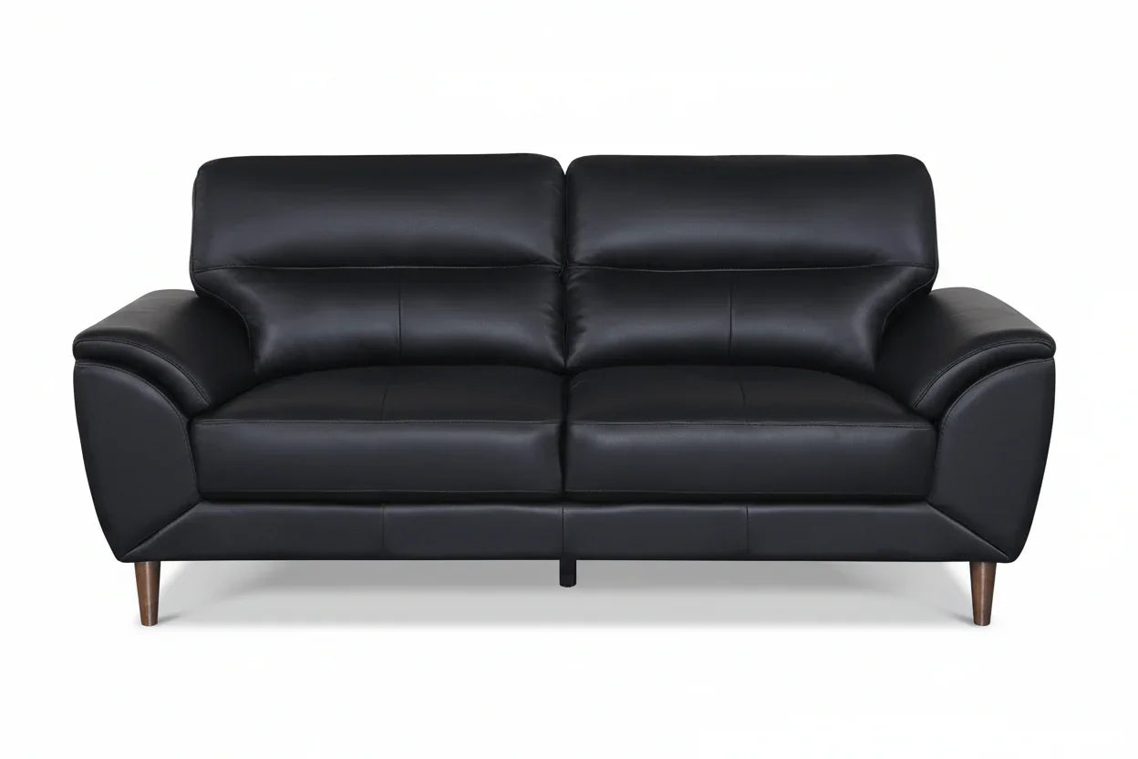Black leather sofa on a white background