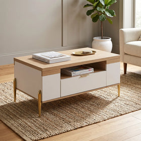 Wooden coffee table with books and a plant in a living room setting