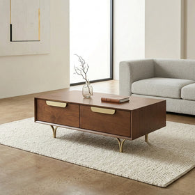 Wooden coffee table with drawers in a modern living room setting