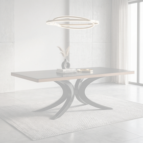 Darkwood Dining Table dimension diagram - 200 x 100 x 75 cm